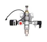 Fafeicy Gruppo Pompa per Spruzzatore di Vernice, Parte Sostitutiva della Valvola del Corpo Pompa per Spruzzatore di Vernice Airless Magnum ProX17 ProX19 e Supporto