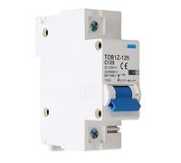 Fafeicy Interruttore Automatico Miniatura DC 1P 125A 250V Guida DIN per | Involucro in PA66, Magnetico di Estinzione Dell', Capacità di Interruzione 10kA, Protezione da Sovraccarico e