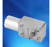 Fafeicy Motoriduttore DC Brushless, Struttura Interamente in Metallo, 12 V/24 V, velocità 4-150 Giri/min, Ideale per Robot e Serrature Elettroniche (24, 40 giri/min)