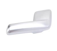Fafeicy Muova della Porta Interna, Facile Installazione più Operazione Interna Maniglia Porta Elegante per un Viaggio Alla Spedizione 2003-2006 (A destra: 2L1Z - 7821818 - A, 6L1Z7821818B)