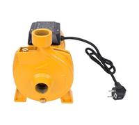Fafeicy Pompa Centrifuga Autoadescante da 750 W, 200 L/min, Prevalenza da 30 M, Uscita da 1 Pollice, con Corpo in Ghisa a Doppio Cuscinetto a Sfera per Approvvigionamento Idrico (Spina europea 220 V)