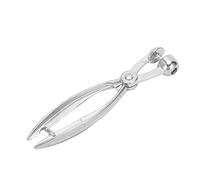 Fafeicy Snocciolatore per Ciliegie, Strumento per Rimuovere i Noccioli di Ciliegia in Lega di Alluminio, Design Ergonomico per Un'efficiente Denocciolatura delle Ciliegie in Cucina