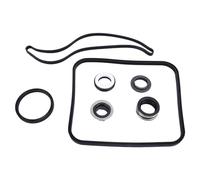 Fafeicy SPX1600Tra Pool Pump O Anello Set di Riparazione della Tenuta, Eccellente Artigianato, Ampia compatibilità per Piscine, 3 Guarnizioni e Accessori