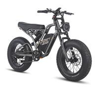 Fafrees F20 Ultra Dirt Bike elettrica con batteria da 48 V 25 Ah 1 St