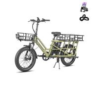 Fafrees FF20 CUV Bici Elettrica Pieghevole Pedalata Assistita, Ebike Uomo Donna Doppia Batteria (48V 24AH) Lunga Autonomia, Bicicletta Elettrica da Città (Esteso-Portapacchi posteriore, Verde)