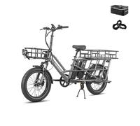 Fafrees FF20 CUV Bici Elettrica Pieghevole Uomo Donna, Ebike 250W a Pedalata Assistita con Doppia Batteria 140KM Autonomia, Bicicletta Elettrica con Cestino (Esteso-Portapacchi posteriore, Grigio)