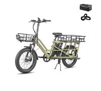 Fafrees FF20 CUV Bici Elettrica Pieghevole Uomo Donna, Ebike 250W a Pedalata Assistita con Doppia Batteria 140KM Autonomia, Bicicletta Elettrica con Cestino (Esteso-Portapacchi posteriore, Verde)