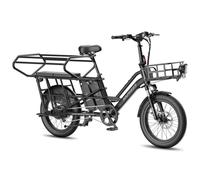 Fafrees FF20 CUV Bicicletta elettrica cargo con doppia batteria da 15