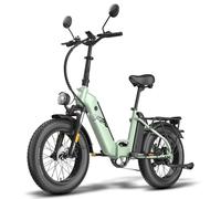 Fafrees FF20 Polar Bicicletta elettrica - Batteria 48V 13.4AH (* 2), 2