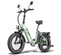 Fafrees FF20 Polar Bicicletta elettrica da città con doppia batteria 4
