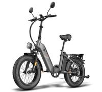 Fafrees FF20 Polar Bicicletta elettrica da città con doppia batteria 4