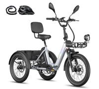 Fafrees Triciclo Elettrico F20 MATE II, Bici da 250 W con 3 Ruote da 20"*2,5", Batteria da 21 Ah 1008 Wh, Cestino + Portapacchi, Triciclo Elettrico da Carico per Adulti e Anziani (Grigio)