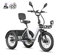 Fafrees Triciclo Elettrico F20 MATE II, Bici da 250 W con 3 Ruote da 20"*2,5", Batteria da 25Ah 1200Wh, Cestino + Portapacchi, Triciclo Elettrico da Carico per Adulti e Anziani (Grigio)