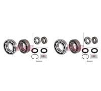 Set di cuscinetti ruota FAG 713 6115 50