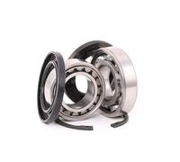 FAG 713 6115 50 Kit cuscinetto ruota per VW TRANSPORTER III Bus Posteriore