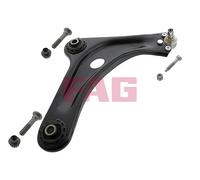 FAG 821 0463 10 Controllo/Braccio, Sospensione Ruota per Citroën, Peugeot