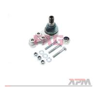 Braccio Strutturale FAG 825009610
