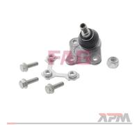 FAG Giunto Sferico Braccio Strutturale Anteriore Destro Adatto A per VW Golf IV