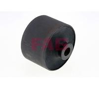 FAG 829 0601 10 Supporto, Corpo assiale per NISSAN,OPEL,RENAULT,VAUXHALL