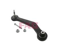 FAG Braccio Oscillante Sospensione Ruota 821 0178 10