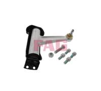 FAG Braccio Oscillante Sospensione Ruota 821 0202 10