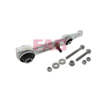 FAG Braccio Oscillante Sospensione Ruota 821 0212 10