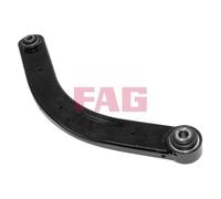 FAG Braccio Oscillante Sospensione Ruota 821 0297 10