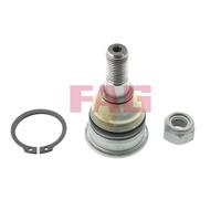 FAG Giunto Di Sostegno Guida Anteriore Per Nissan Almera I Hatchback