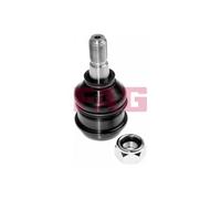 FAG Giunto Sferico Anteriore Inferiore Adatto Per Nissan Sunny III Traveller