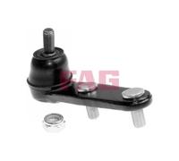 FAG Giunto Sferico Giunto Di Guida Adatto Per Honda Prelude IV BB BA