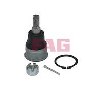 FAG Giunto Sferico Giunto Direzionale Anteriore Adatto Per Honda CR-V II RD