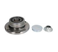 FAG 713 6103 20 Kit cuscinetto ruota