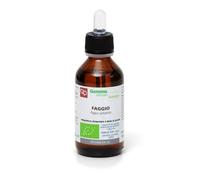 Fitomedical FAGGIO MACERATO GLICERINATO BIO 100 ML