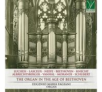 Fagiani, Eugenio Maria Organ in the Age of.. (CD)