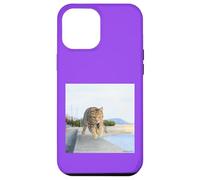fagiano gatto volante 2_001 Custodia per iPhone 12 Pro Max