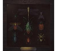 Fagin's Reject - Dirty Protest