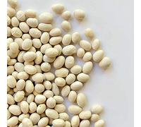 FAGIOLI COCCO | Il Contadino | Legumi Secchi (5 Kg)