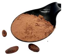 Fagioli di cacao crudi Criollo in polvere 20 g - 1,9 kg Theobroma Cacao