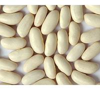 , fagioli di rene bianchi (cannellini Bean), cresciuti biologicamente, 200 semi:Seeds
