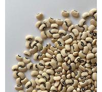 FAGIOLI DOLICO ITALIA | Il Contadino | Legumi Secchi (20 Kg)