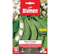 Fagioli Rampicanti Bianco di Spagna 25 Semi