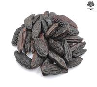 Fagioli tonka essiccati interi classe A - 460 grammi (16,3 once) - Dipteryx...