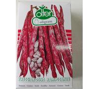 Fagiolo borlotto RAMPICANTE FRECCIAROSSA OLTER