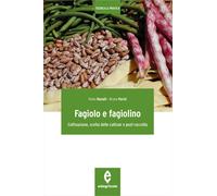 Fagiolo e fagiolino. Coltivazione, scelta delle cultivar e post-raccolta -...