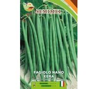 Fagiolo Nano Xera - Fagiolino Eretto a Baccelli Diritti e Lucidi, Ciclo Medio Precoce, 50g 1 confezione