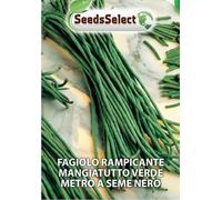 FAGIOLO RAMPICANTE METRO A SEME NERO BUSTINA DA GR 25