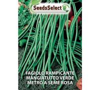 FAGIOLO RAMPICANTE METRO A SEME ROSA BUSTINA GR 50
