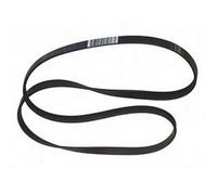 Fagor - 1249j5 Cinture per Lava biancheria Brandt - bvmpièces