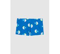FAGOTTINO, Costumino Da Bambino In Tessuto Elasticizzato Blu Con Fantasia Pesciolini, Blu, Taglia: 12-18