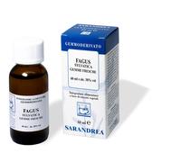 Fagus Sylvatica 1000 Ml Mg